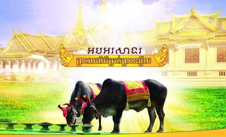 Cambodia Royal Ploughing