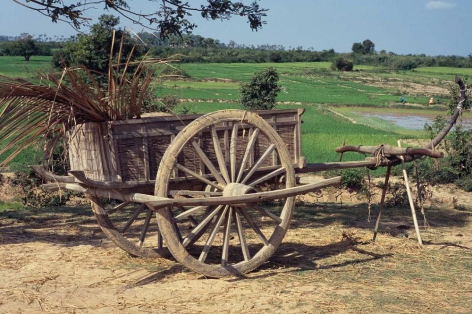 Khmer Ox Cart