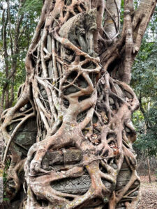 Trar Peang Khnar Sen Keo Temple © Sabay News