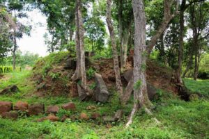 ReamKer Temple © National Authority of Preah Vihear